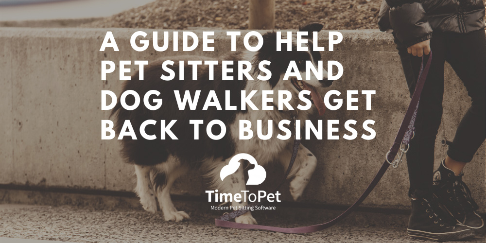 Guide-to-help-pet-sitter-summary.jpg
