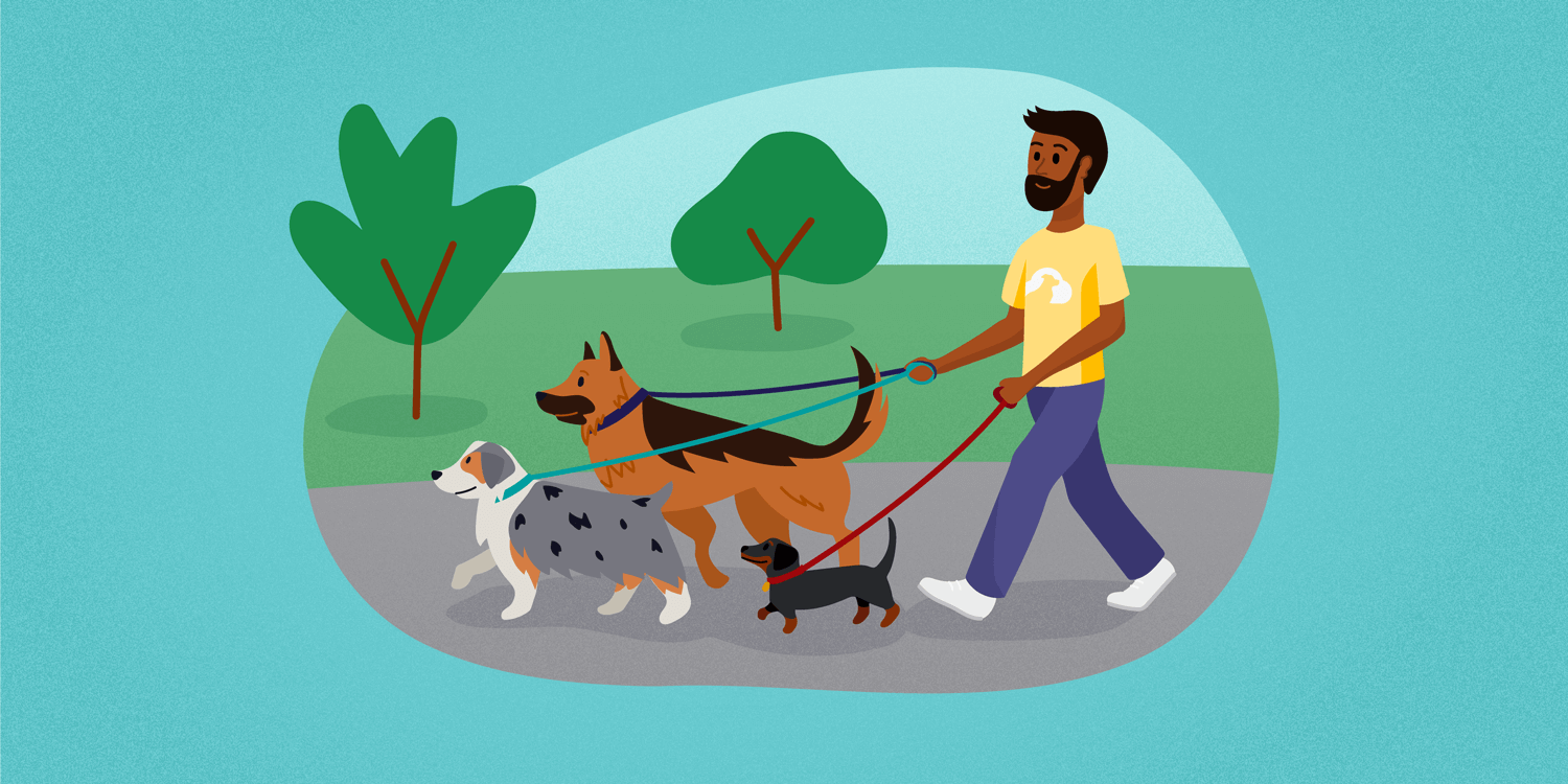 TTP-how-to-start-a-dog-walking-business.png