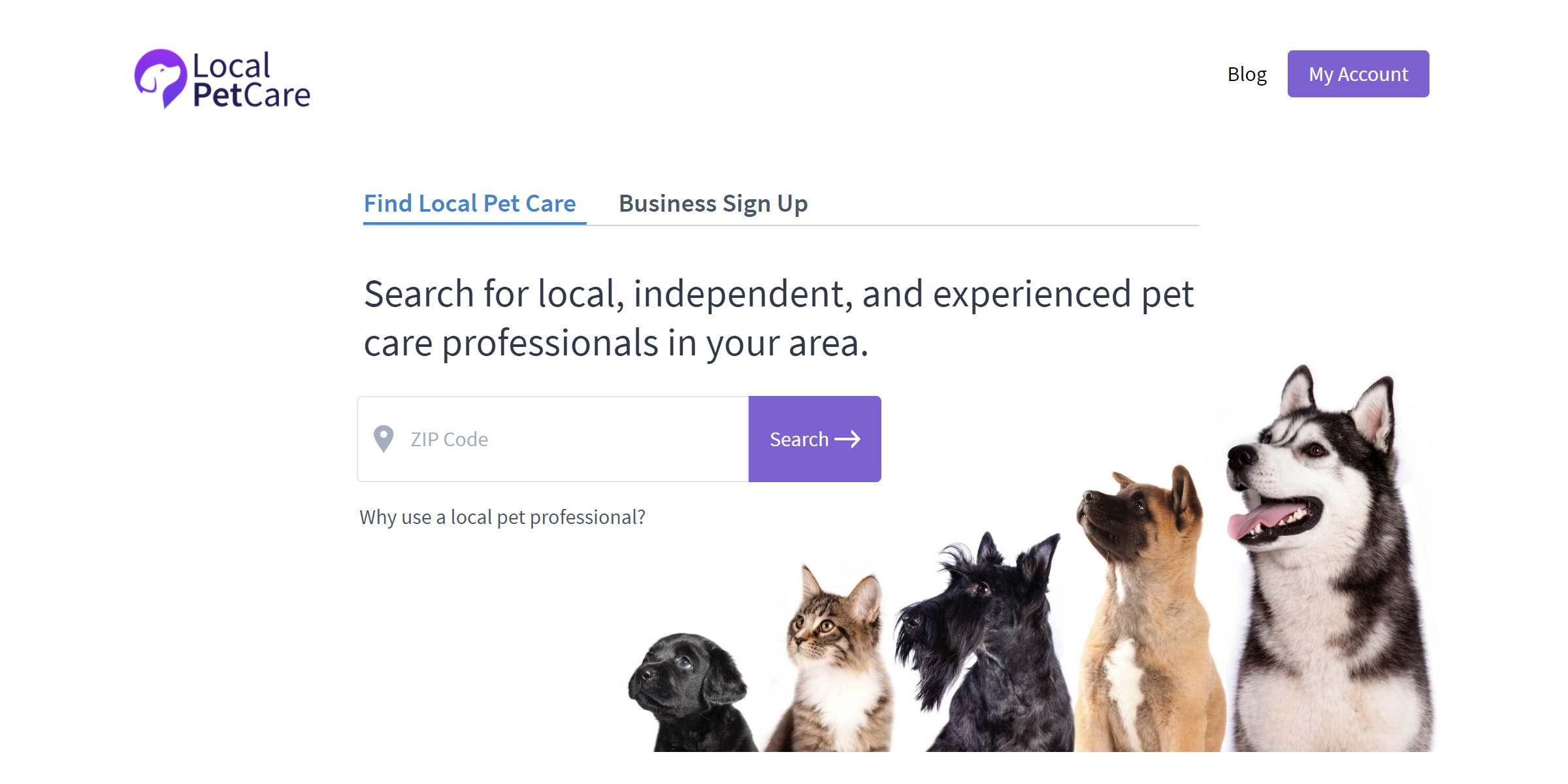 local-pet-care-blog-summary-image.jpg