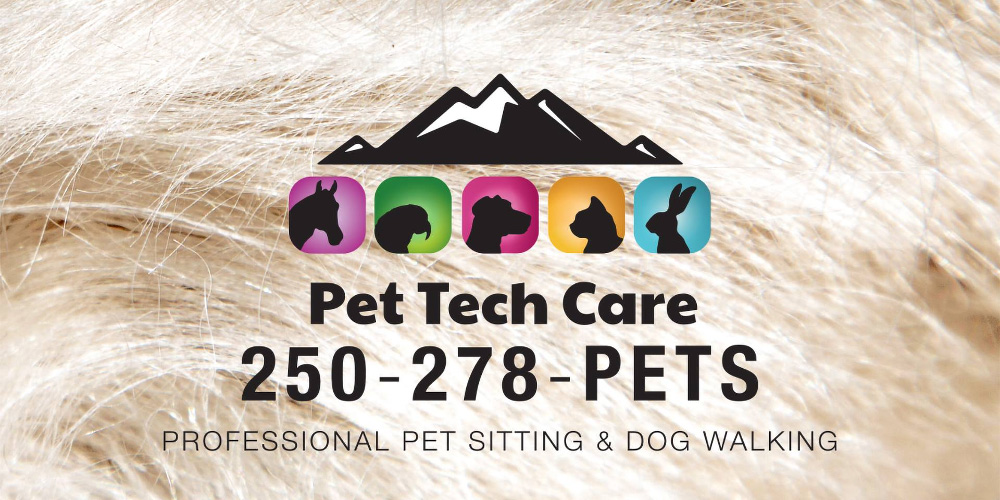 pet-tech-care-summary-image.jpg