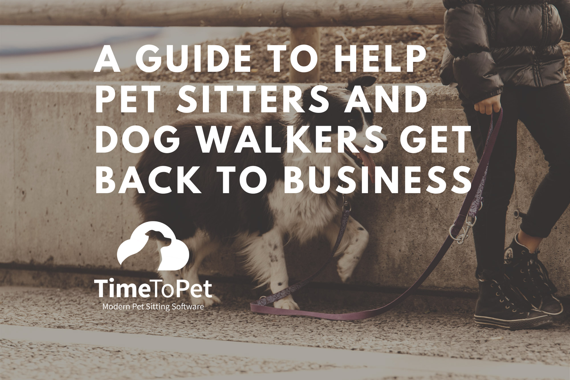 Guide-to-help-pet-sitters-and-dog-walkers