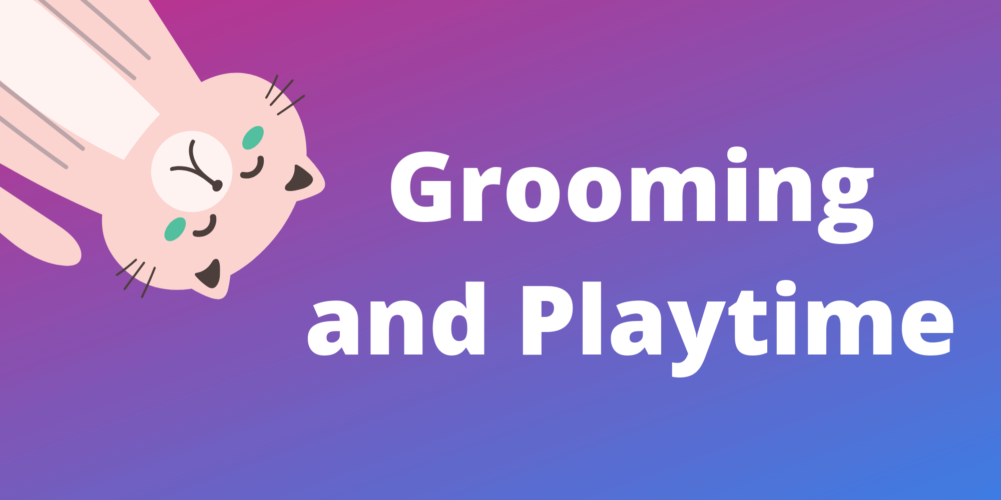 Grooming and Playtim Tips for Cat Sitting