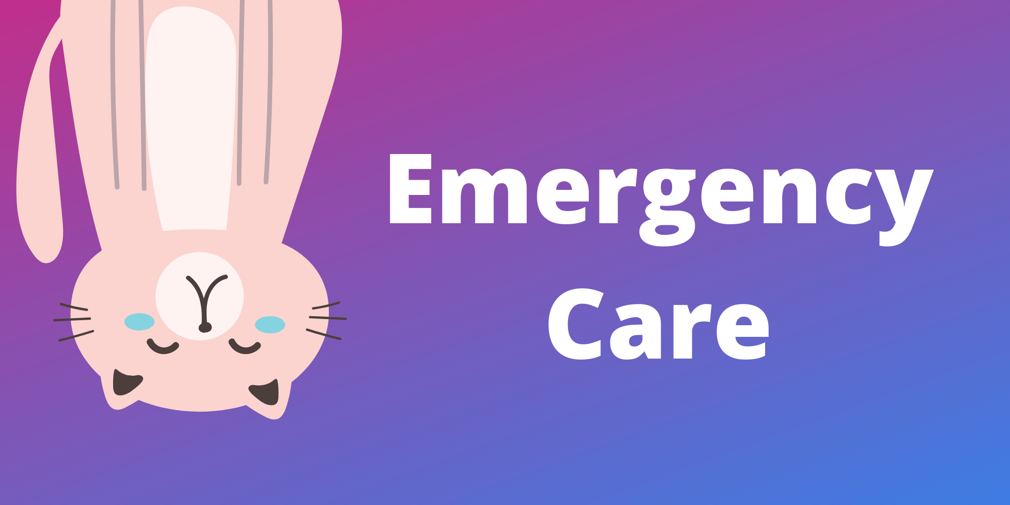 Emergency Care Tips for Cat Sitting
