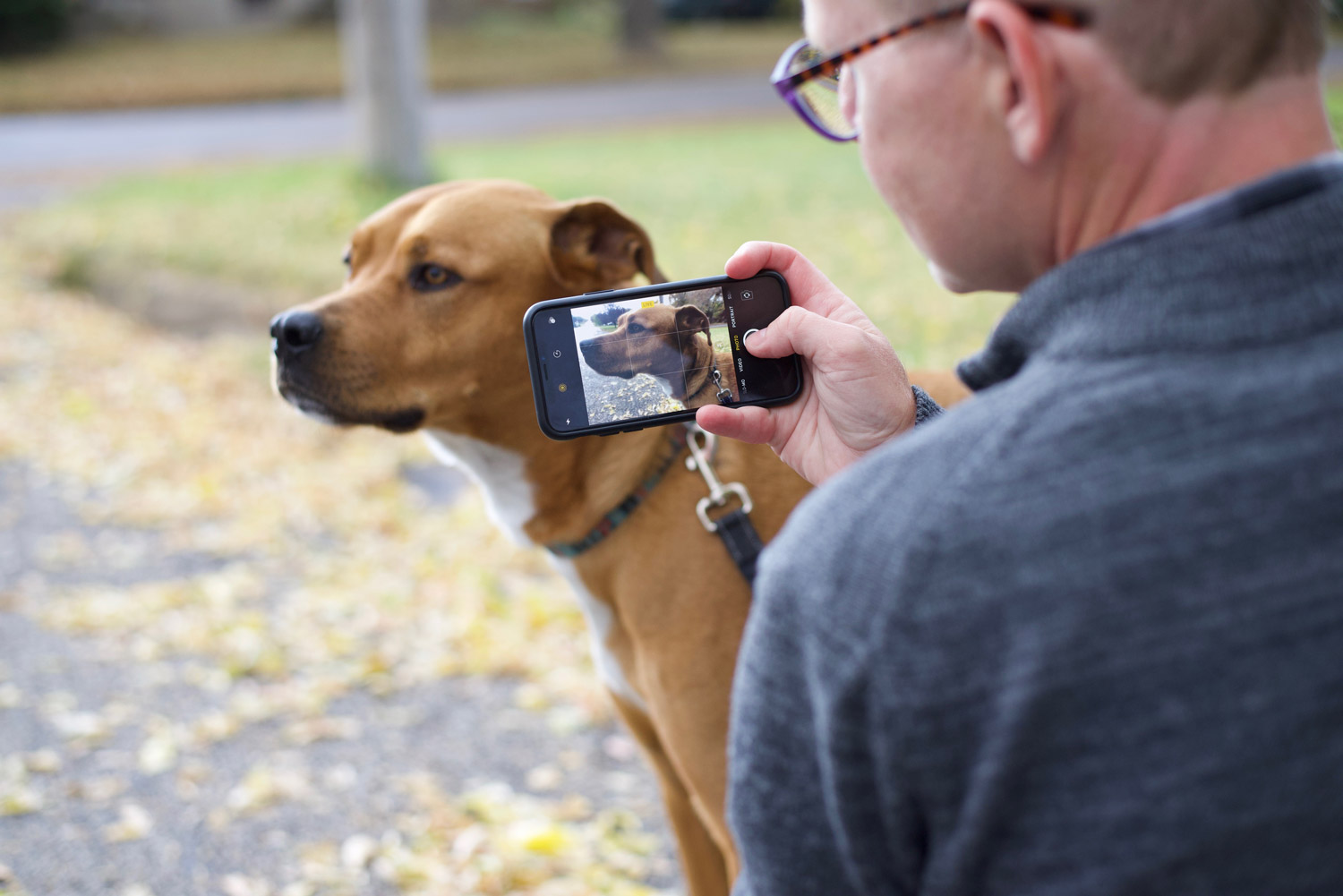 Away-home-and-pet-dog-cellphone