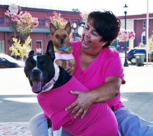 Dogs in pink