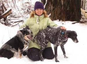 Dogs in snow