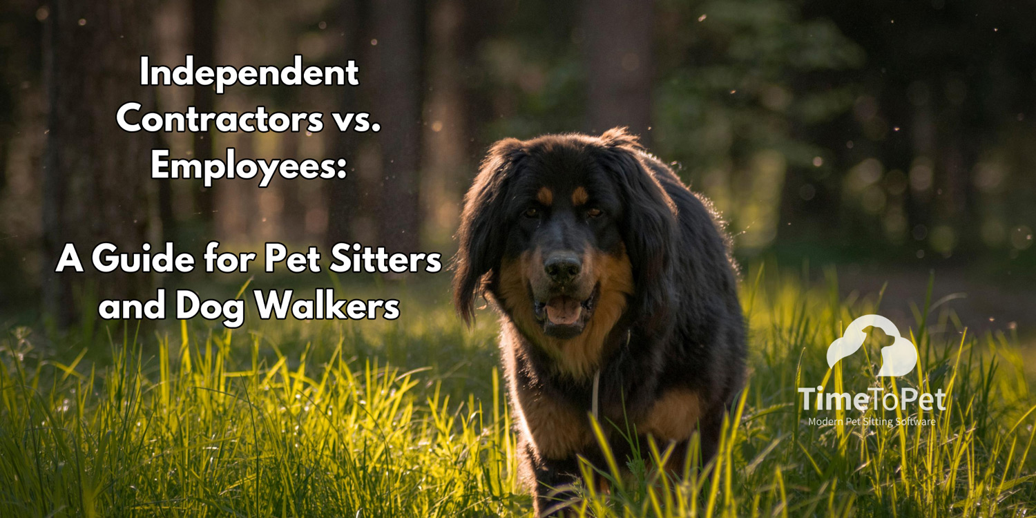Employees-vs-independent-contractors-summary-image